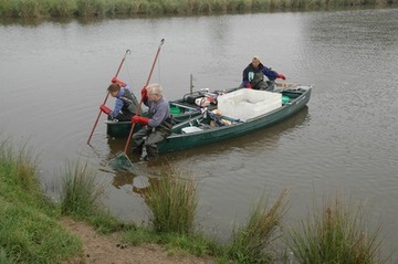 Das Befischen des Gewässerrandes erfolgt vom Boot aus. Gummihandschuhe und Wathosen schützen vor Stromschlag.