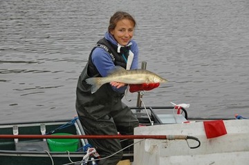 Angelika ist ein stattlicher Zander ins Netz gegangen, ein ursprünglich aus dem Donaugebiet stammender Raubfisch.