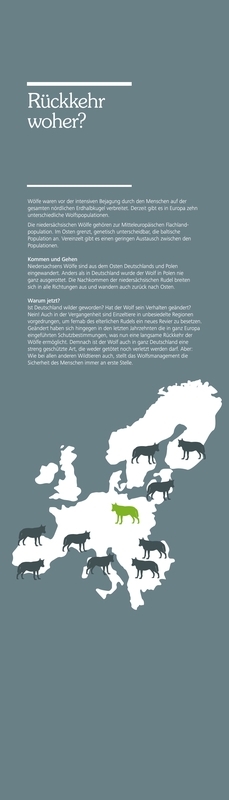 Der Wolf. Ein Wildtier kehrt zurück.
