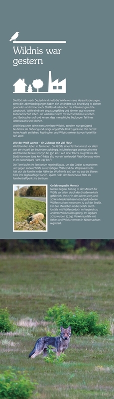 Der Wolf. Ein Wildtier kehrt zurück.