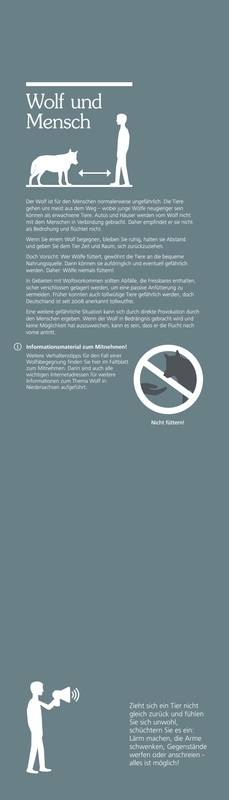 Der Wolf. Ein Wildtier kehrt zurück.