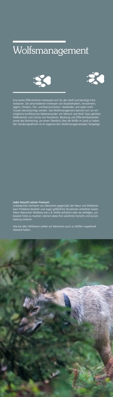 Der Wolf. Ein Wildtier kehrt zurück.