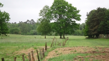 Foto aus dem Naturschutzgebiet "Natura 2000-Naturschutzgebiet in der unteren Haseniederung"