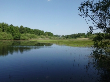 Foto aus dem Naturschutzgebiet "Berger Keienvenn"