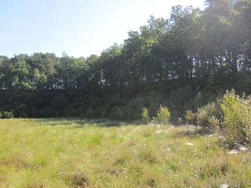 Foto aus dem Naturschutzgebiet "Maujahn"