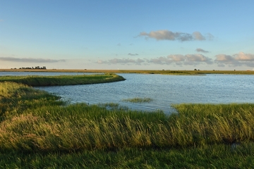 FFH001 "Nationalpark Niedersächsisches Wattenmeer" / V01 "Niedersächsisches Wattenmeer und angrenzendes Küstenmeer"