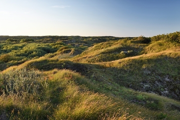 FFH001 "Nationalpark Niedersächsisches Wattenmeer" / V01 "Niedersächsisches Wattenmeer und angrenzendes Küstenmeer"