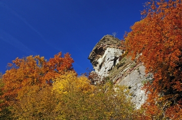 V69 "Uhu-Brutplätze im Weserbergland"