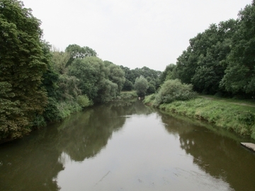 Foto aus dem Landschaftsschutzgebiet "Natura 2000 - Untere Haseniederung"