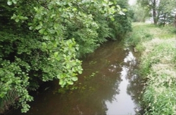 Foto aus dem Landschaftsschutzgebiet "Steinhuder Meerbach und Nebengewässer (mit Leeser Erlen-Riede)"