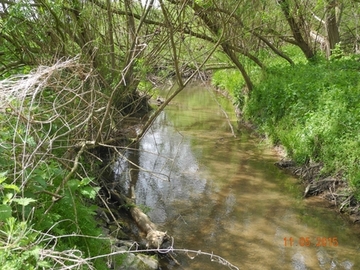 Foto aus dem Landschaftsschutzgebiet "Riehe, Alme, Gehbeek und Subeek"