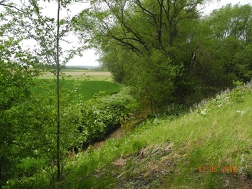 Foto aus dem Landschaftsschutzgebiet "Riehe, Alme, Gehbeek und Subeek"