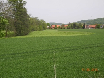 Foto aus dem Landschaftsschutzgebiet "Riehe, Alme, Gehbeek und Subeek"