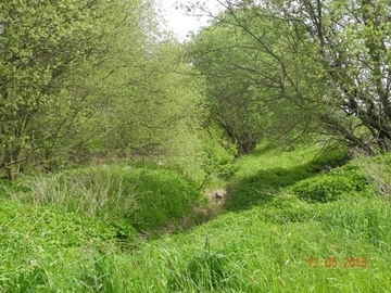 Foto aus dem Landschaftsschutzgebiet "Riehe, Alme, Gehbeek und Subeek"