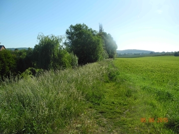 Foto aus dem Landschaftsschutzgebiet "Riehe, Alme, Gehbeek und Subeek"