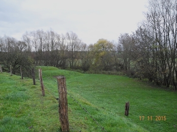 Foto aus dem Landschaftsschutzgebiet "Riehe, Alme, Gehbeek und Subeek"