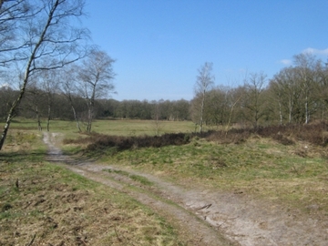 Foto aus dem Naturschutzgebiet "Tillenberge"