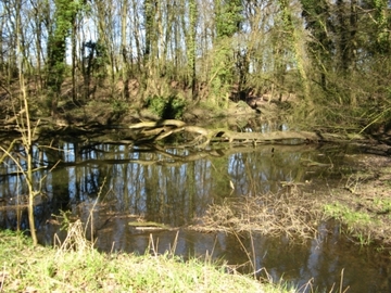 Foto aus dem Naturschutzgebiet "Tillenberge"