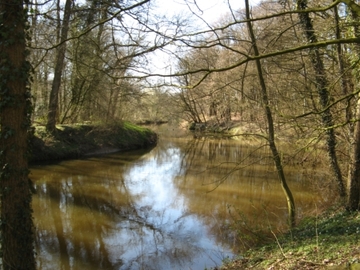 Foto aus dem Naturschutzgebiet "Tillenberge"