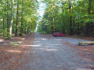 Foto aus dem Naturschutzgebiet "Lünsholz"