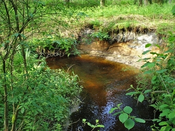 Emmer Bach in natürlichem Verlauf mit strukturreicher, kiesiger Sohle