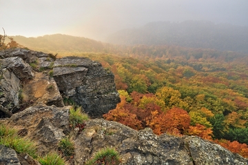 Hohenstein