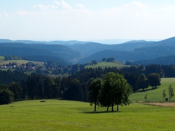 Blick auf den Galgenberg