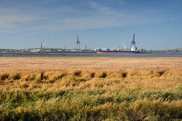 Blick über die Weser bei Sandstedt