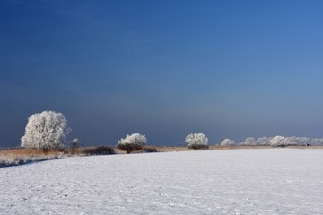 Winterstimmung auf der Tegeler Plate