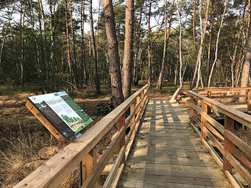 An geeigneten Stellen wurden die Infotafeln am Moorerlebnispfad in Resse/ Otternhagener Moor neu montiert.