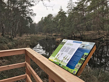 An geeigneten Stellen wurden die Infotafeln am Moorerlebnispfad in Resse/ Otternhagener Moor neu montiert.