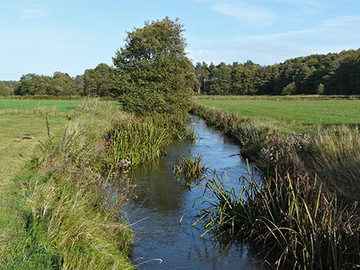 Foto aus dem Naturschutzgebiet Lehrdetal