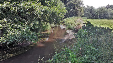 Foto aus dem Naturschutzgebiet Lehrdetal