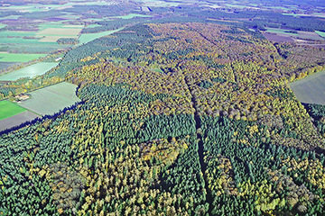 Foto aus dem Naturschutzgebiet Wedeholz