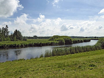 Foto aus dem Naturschutzgebiet Osteschleife Hundswiesen