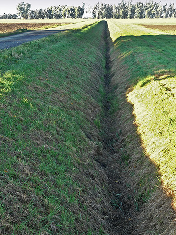 Foto aus dem Landschaftsschutzgebiet Großes Bruch östlich von Mattierzoll