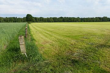 Foto aus dem Landschaftsschutzgebiet "An der Schneckenstiege"