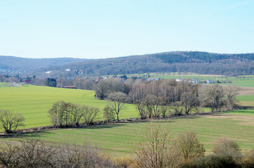 Foto aus dem Landschaftsschutzgebiet "Beuster und Kalte Beuster"