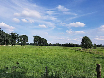 Foto aus dem Landschaftsschutzgebiet "Lehrdewiesen"
