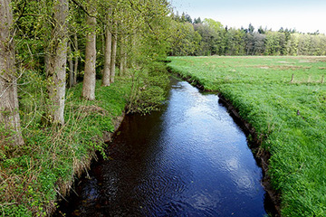 Foto aus dem Landschaftsschutzgebiet "Aue und Ramme"