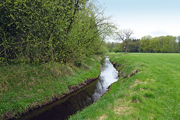 Foto aus dem Landschaftsschutzgebiet "Aue und Ramme"