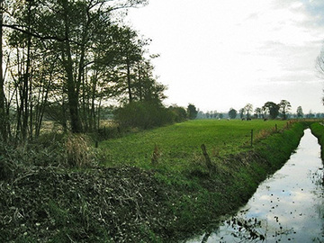 Foto aus dem Landschaftsschutzgebiet "Bywisch-Hullen-Schohasbergen"