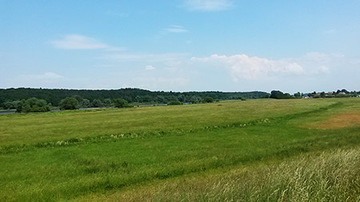 Foto aus dem Naturschutzgebiet "Elbeniederung von Hohnstorf bis Artlenburg"