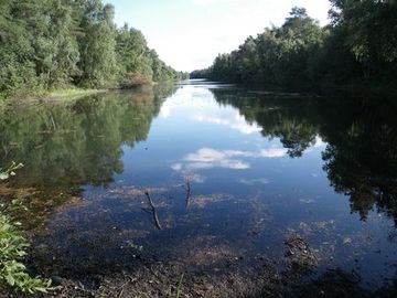 Foto aus dem Naturschutzgebiet Kluse