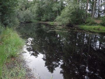 Foto aus dem Naturschutzgebiet Kluse