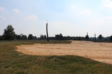 LRT 2330 - Offene Grasflächen mit Silbergras und Straußgras auf Binnendünen in der Dünenformation Langer Kamp