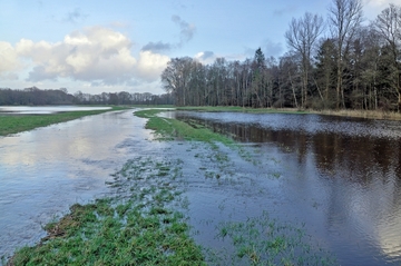 Haarenniederung bei Hochwasser