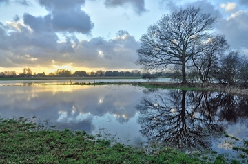 Haarenniederung bei Hochwasser