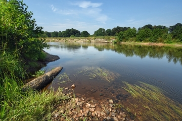 Hunte bei Huntlosen