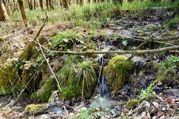 Landschaftsschutzgebiet Toutoburger Wald, Kleiner Berg